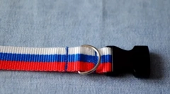 Како да направите муниција за мачката направете го тоа сами